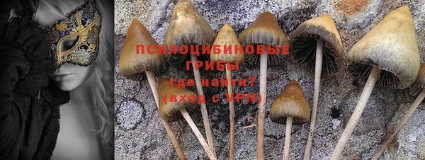 ешки Алексеевка