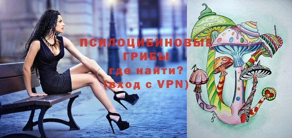 ешки Алексеевка