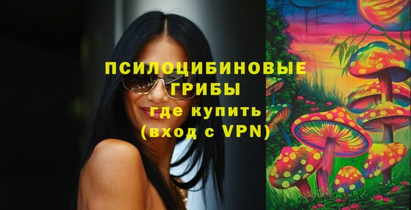 ешки Алексеевка