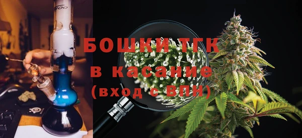 ПСИЛОЦИБИНОВЫЕ ГРИБЫ Медногорск