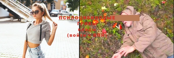 ешки Алексеевка